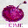 plumpub.com