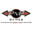 pnpgamesonline.com