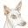 podenco-in-not.de