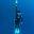 ponta-freediving.com