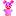 pooq.org