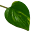 pothosware.com
