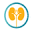prbenjellounurologue.com
