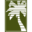 prel.org