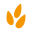 primeal.bio