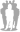 primeresearch.co.nz