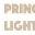 princetonlightwave.com