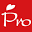 pro09.com