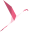 procamex.org