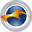 procarcoat.com