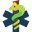 processmining4healthcare.org