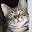 projectcat.org