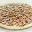 prontopizzany.com