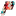 ptpyc.com