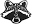 puccoonraccoon.com