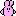 pudgybunny.com