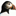 puffin.ch