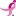 pugetsound.info-komen.org
