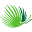 puntacana.org