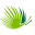 puntacanainternationalschool.com