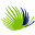 puntacanavillage.com