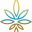 purityhempco.com