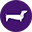 purpledog.co.kr