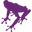 purpletoadwinery.com