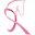 pvdarideforlife.org