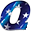 qaausa.com