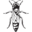 qbabees.org.au