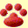qualitydogs.com