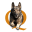 qualityk9.com