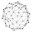 quanticae.com