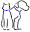 r.vet