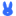 rabbitseo.com