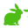 rabbitweb.net