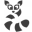 raccoon.ag