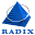 radixweb.com