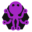 rainboxlab.org
