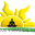 raiseyourvibrationtoday.com