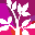 rambam.org.il