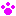 randomkittengenerator.com