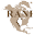 raninc.com