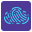 rapidid.com