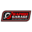 rapidogarage.com