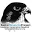 raptorresource.org