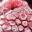 raspberryparatorpes.net
