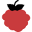 raspberrypi.dk