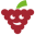 raspikidd.com